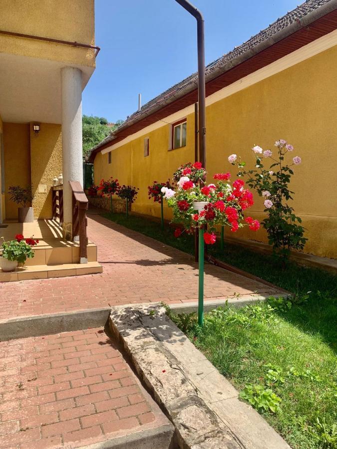 Casa Ramona Apartamento Turda Exterior foto